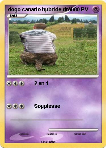 Pokemon dogo canario hµbride drôle