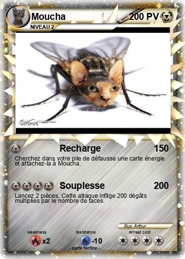 Pokemon Moucha