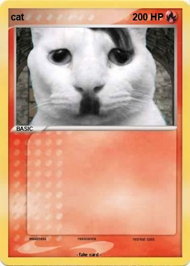 Pokemon cat