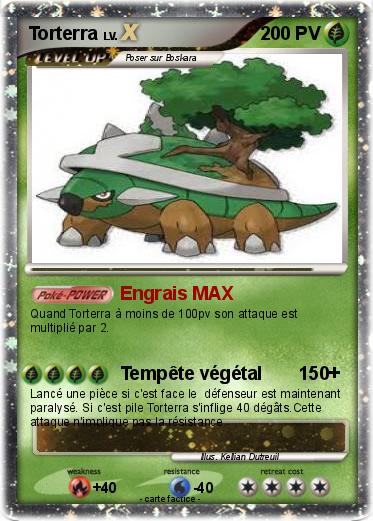 Pokemon Torterra