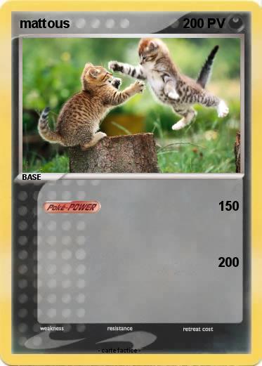 Pokemon mattous