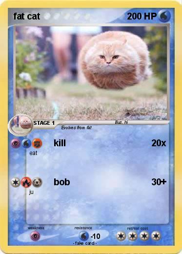 Pokemon fat cat