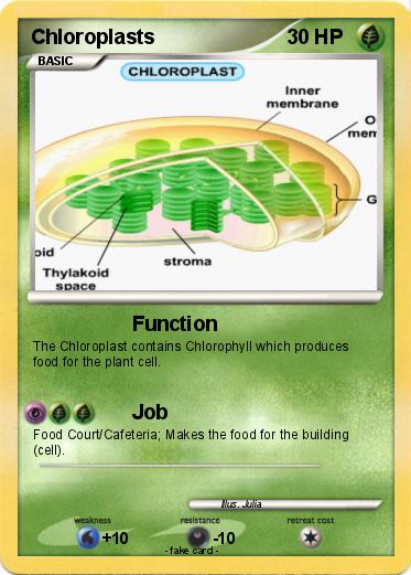 Pokemon Chloroplasts