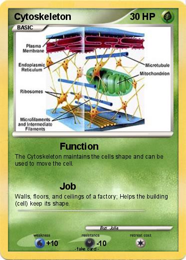 Pokemon Cytoskeleton
