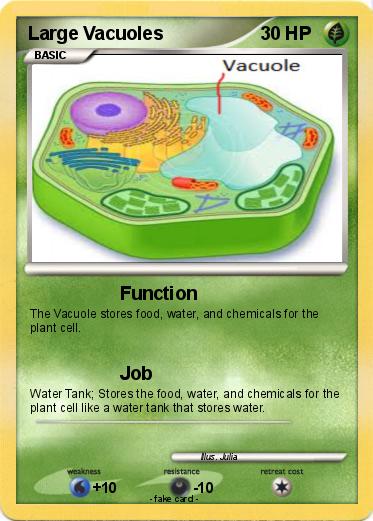 Pokemon Large Vacuoles