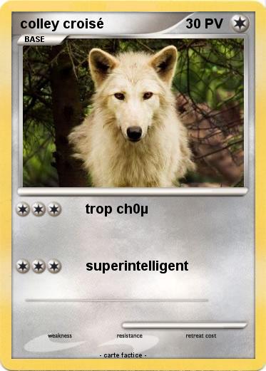 Pokemon colley croisé