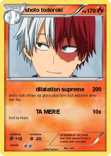 Pokemon shoto todoroki