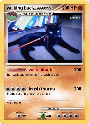 Pokemon walking baci
