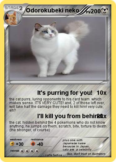 Pokemon Odorokubeki neko