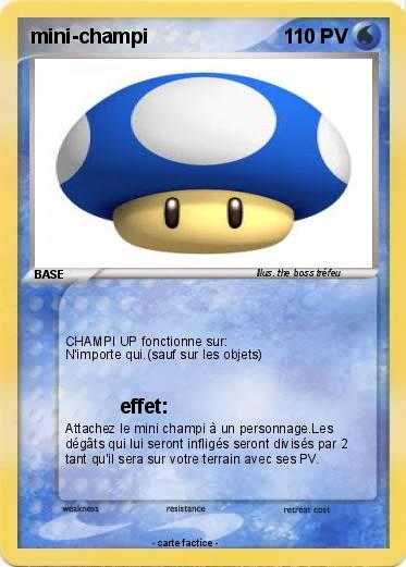 Pokemon mini-champi
