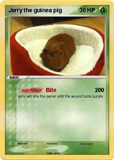 Pokemon Jerry the guinea pig