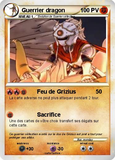 Pokemon Guerrier dragon