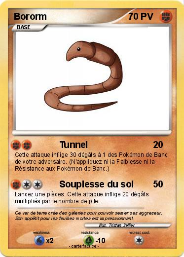 Pokemon Bororm