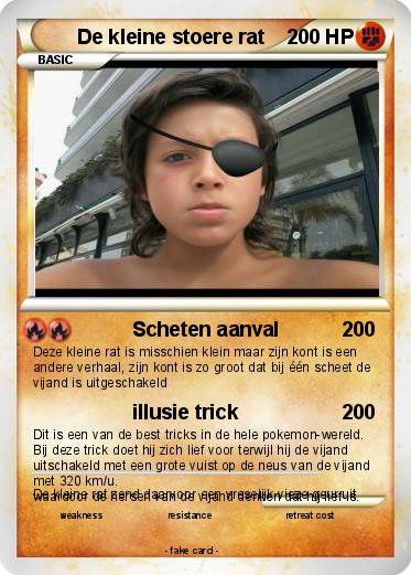 Pokemon De kleine stoere rat
