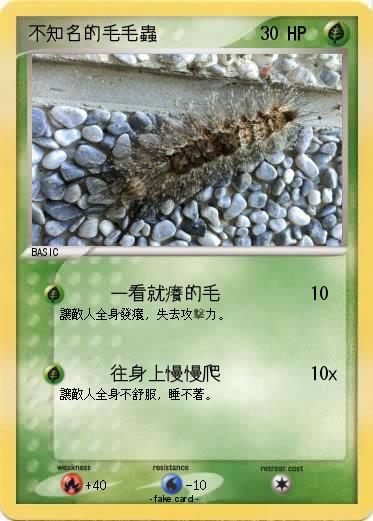 Pokemon 不知名的毛毛蟲
