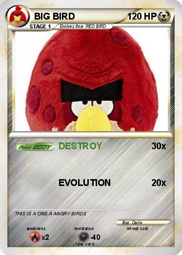 Pokemon BIG BIRD
