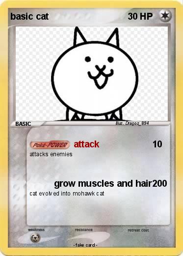 Pokemon basic cat