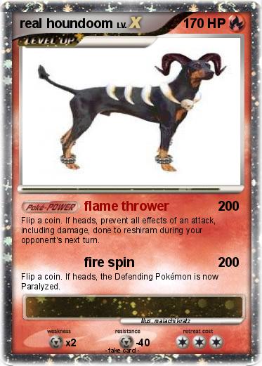 Pokemon real houndoom