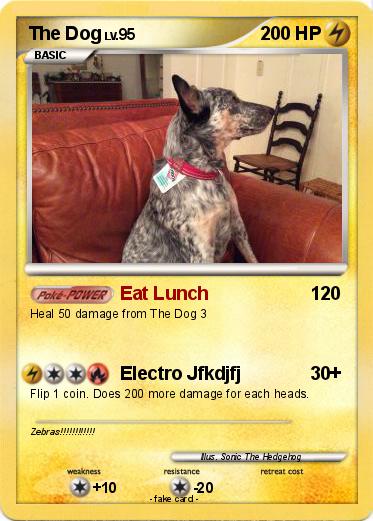 Pokemon The Dog