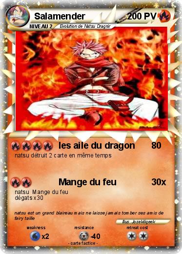 Pokemon Salamender