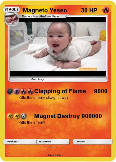 Pokemon Magneto Yeseo