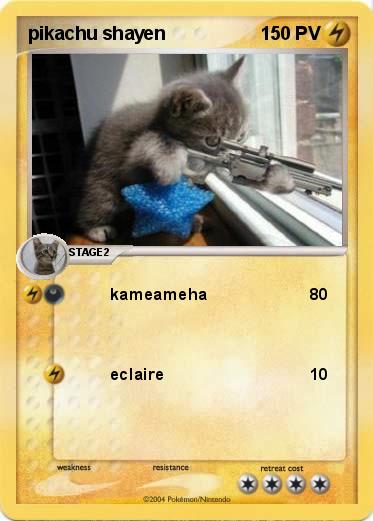 Pokemon pikachu shayen