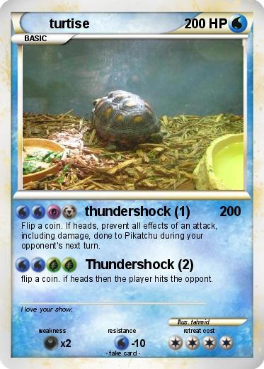 Pokemon turtise