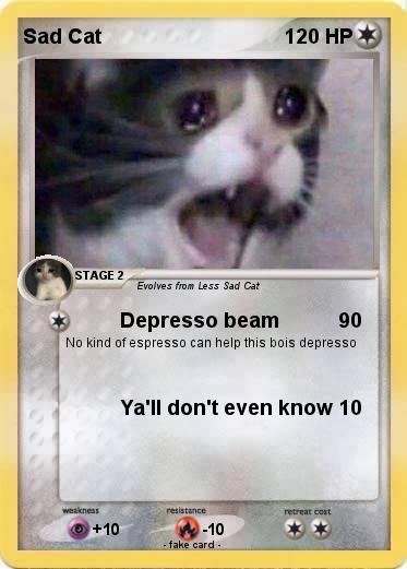 Pokemon Sad Cat