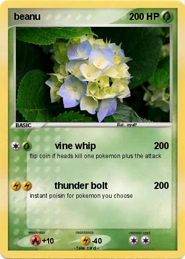 Pokemon beanu