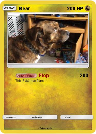 Pokemon Bear