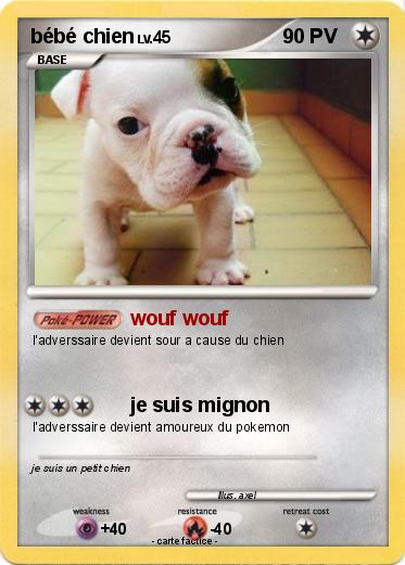Pokemon bébé chien