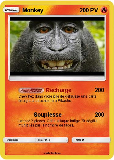 Pokemon Monkey
