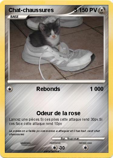 Pokemon Chat-chaussures             3