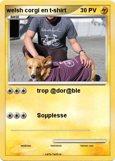 Pokemon welsh corgi en t-shirt