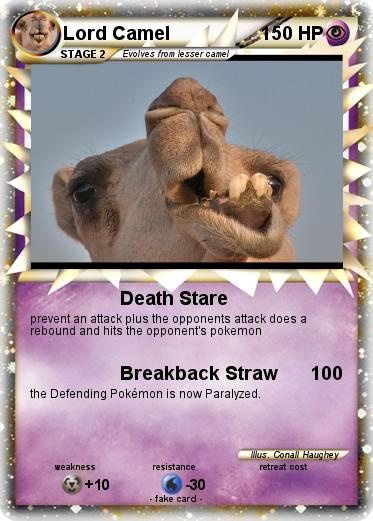 Pokemon Lord Camel