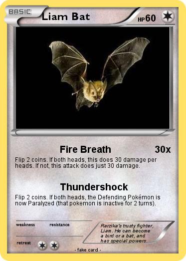 Pokemon Liam Bat