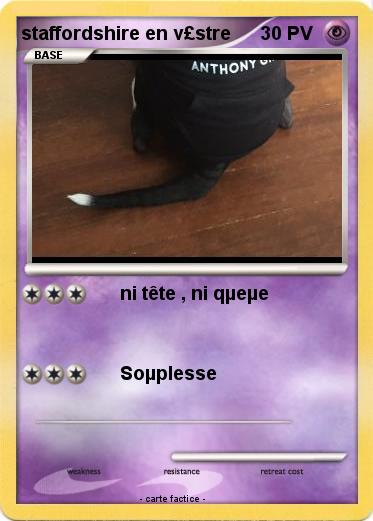 Pokemon staffordshire en v£stre