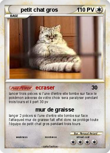 Pokemon petit chat gros