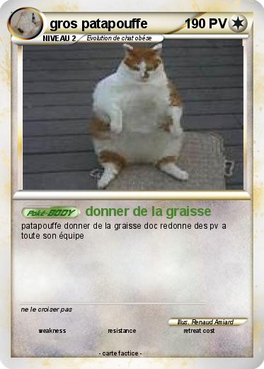 Pokemon gros patapouffe