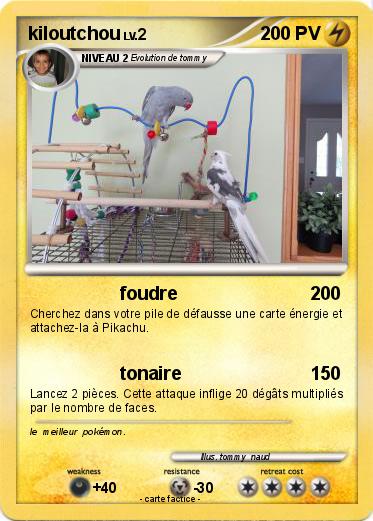 Pokemon kiloutchou