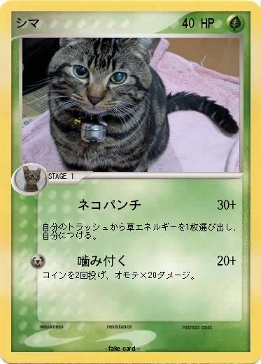 Pokemon シマ