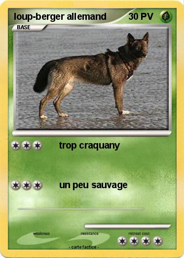 Pokemon loup-berger allemand