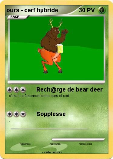 Pokemon ours - cerf hµbride
