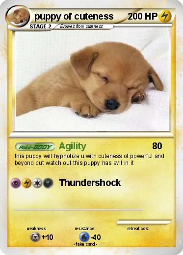 Pokemon puppy of cuteness