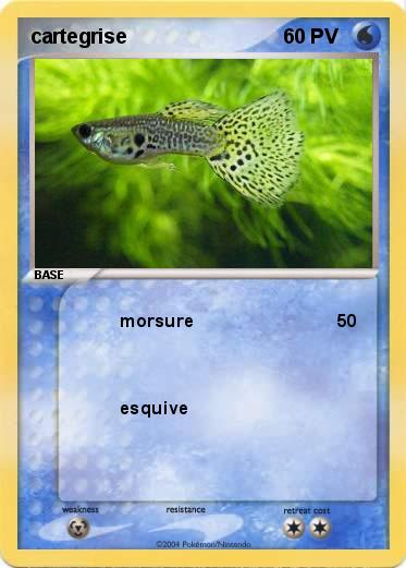 Pokemon cartegrise
