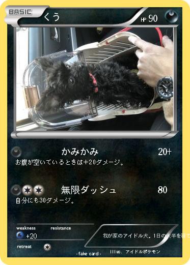 Pokemon くう