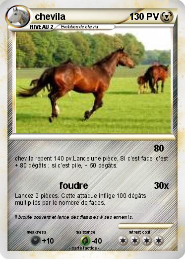 Pokemon chevila