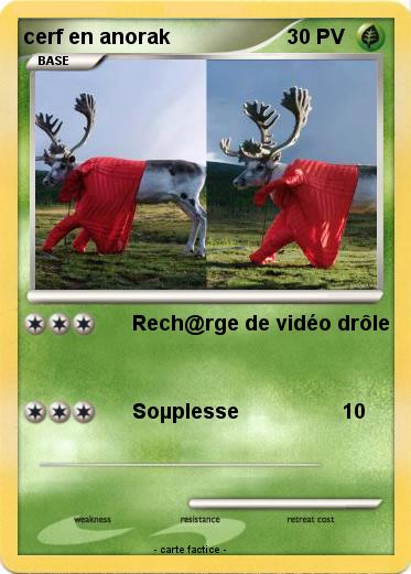 Pokemon cerf en anorak