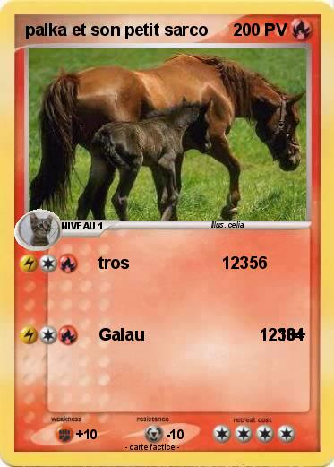 Pokemon palka et son petit sarco