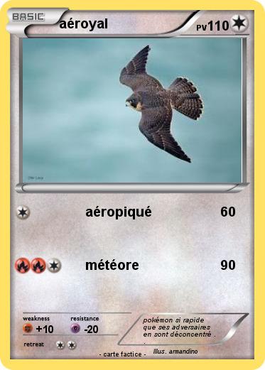 Pokemon aéroyal